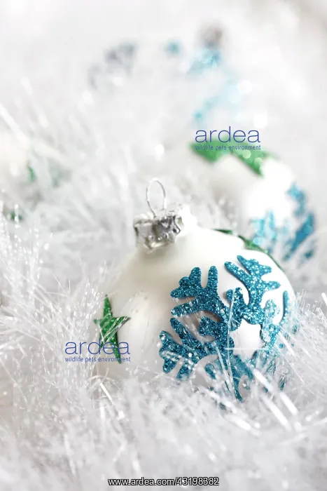 : Christmas balls, pearl, decoration : Christmas balls, pearl, decoration