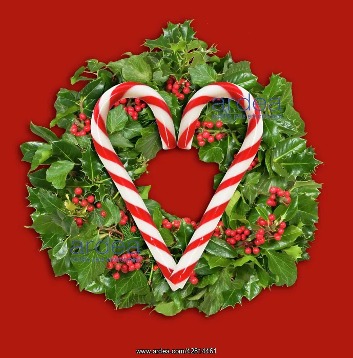 : Christmas candy cane : Christmas candy cane