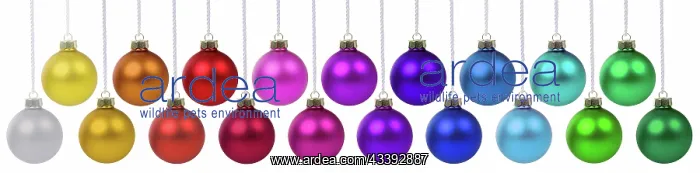 : Christmas Christmas Balls Banners Christmas Balls : Christmas Christmas Balls Banners Christmas Balls