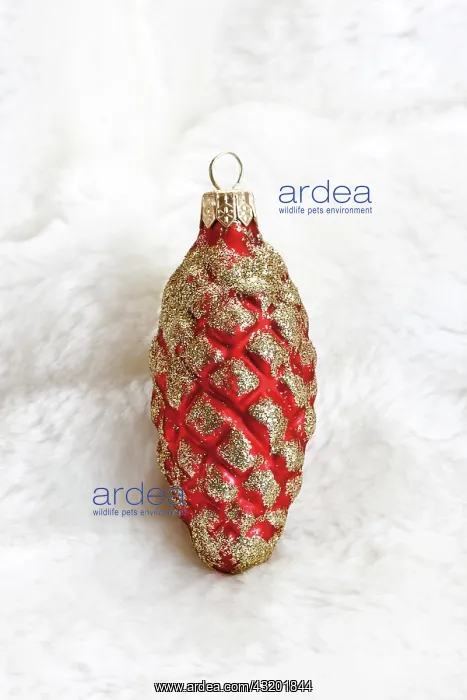 : Christmas decoration, fir cone on fur blanket : Christmas decoration, fir cone on fur blanket