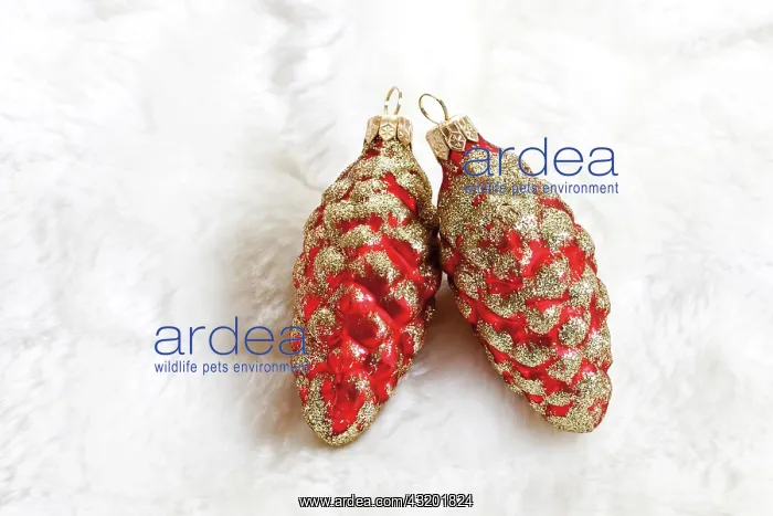 : Christmas decoration, fir cones on fur blanket : Christmas decoration, fir cones on fur blanket