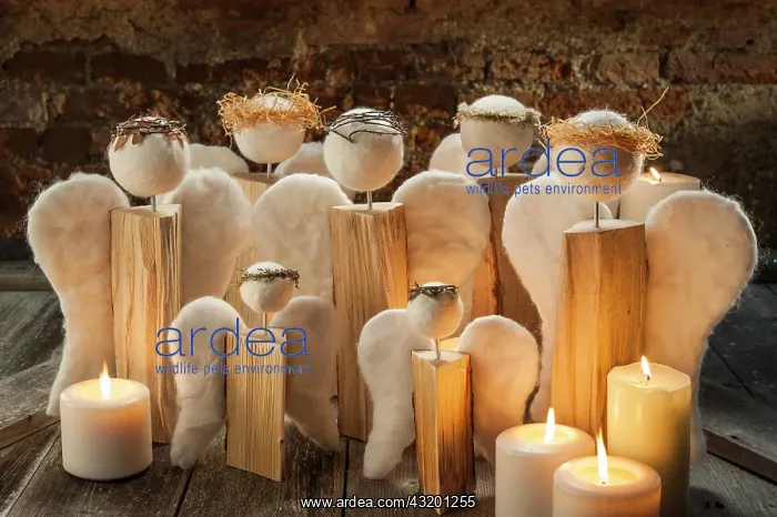  : Christmas decoration, group of handcrafted angels