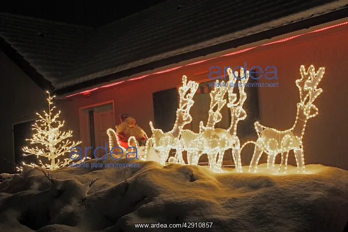 : Christmas Decorations - illuminated reindeer & : Christmas Decorations - illuminated reindeer &
