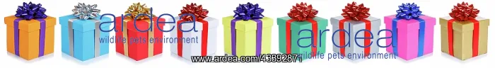 : Christmas Gifts Birthday Christmas Gifts against : Christmas Gifts Birthday Christmas Gifts against