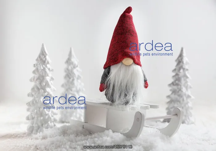 : Christmas imp on sleigh with snowy landscape. Christmas : Christmas imp on sleigh with snowy landscape. Christmas