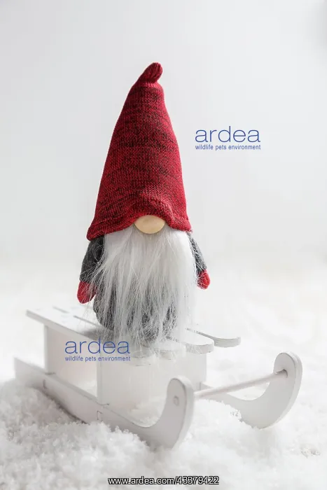 : Christmas imp on sleigh with snowy landscape. Christmas : Christmas imp on sleigh with snowy landscape. Christmas
