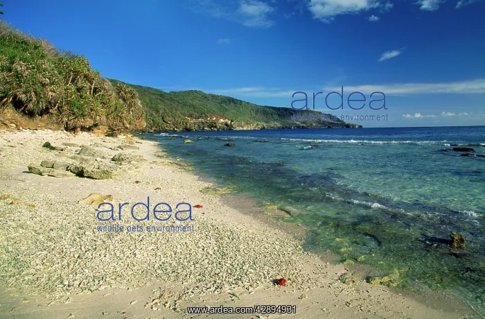 : Christmas Island - Indian Ocean - Ethel beach (coral : Christmas Island - Indian Ocean - Ethel beach (coral