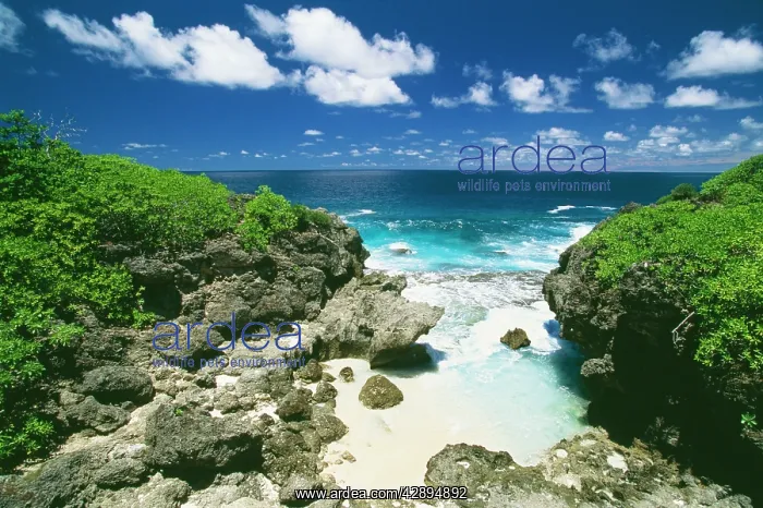 : Christmas Island - Small beach between cliffs near the dales : Christmas Island - Small beach between cliffs near the dales