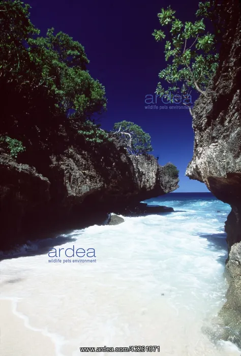 : Christmas Island - Small beach between cliffs near the Dales : Christmas Island - Small beach between cliffs near the Dales