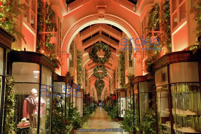 : Christmas Lights in London 2023 : Christmas Lights in London 2023