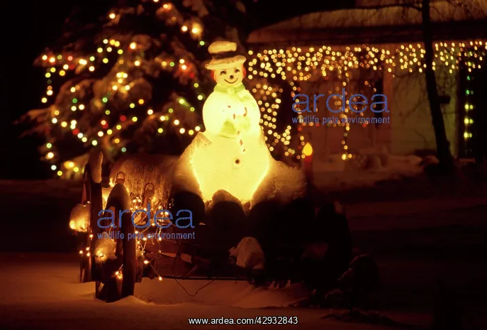 : Christmas lights and Snowman on old waggon with logs : Christmas lights and Snowman on old waggon with logs