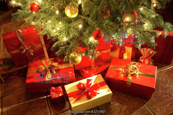 : Christmas presents under a Christmas tree : Christmas presents under a Christmas tree