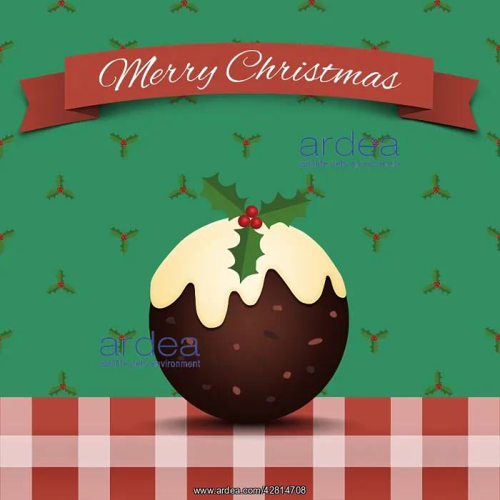 : Christmas pudding illustration with holly, Merry Christmas : Christmas pudding illustration with holly, Merry Christmas