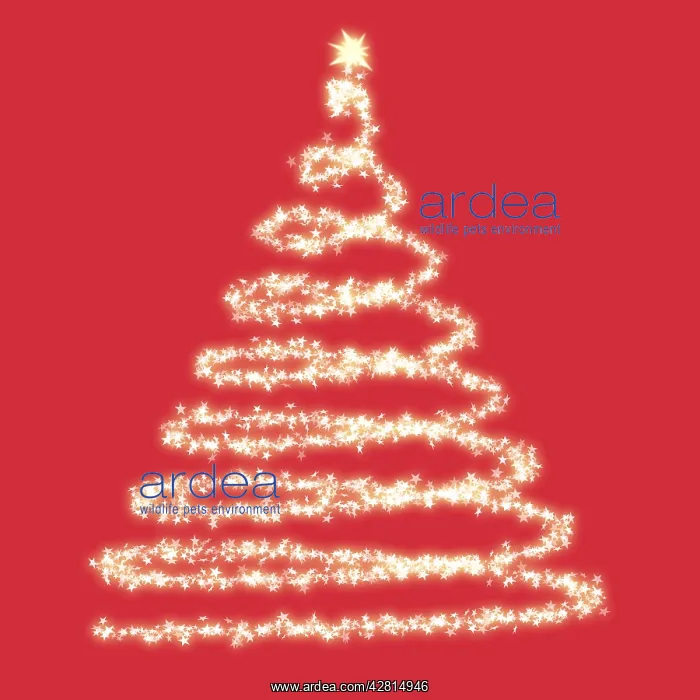 : Christmas Tree : Christmas Tree