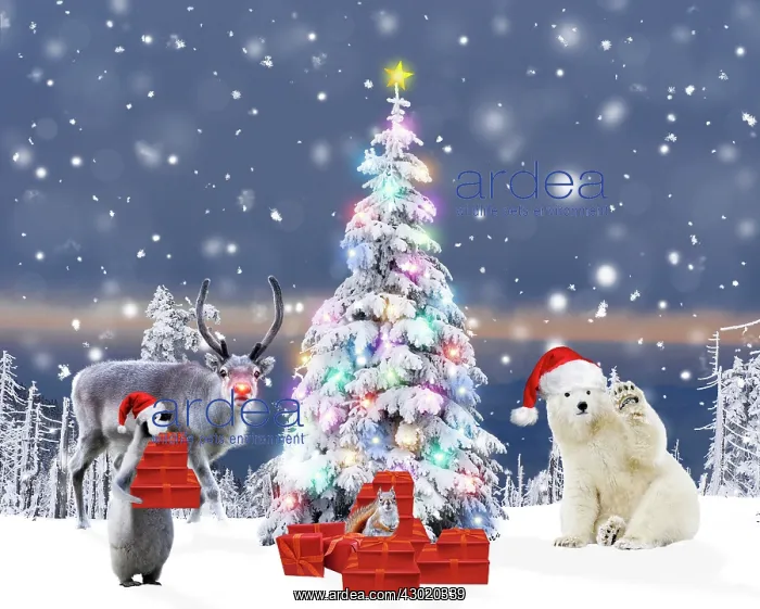 : Christmas Tree : Christmas Tree