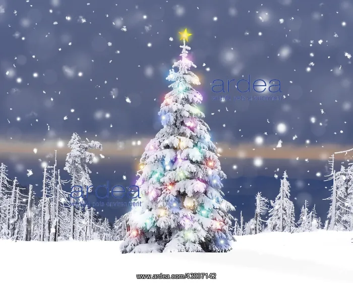: Christmas Tree - with Christmas lights and star : Christmas Tree - with Christmas lights and star