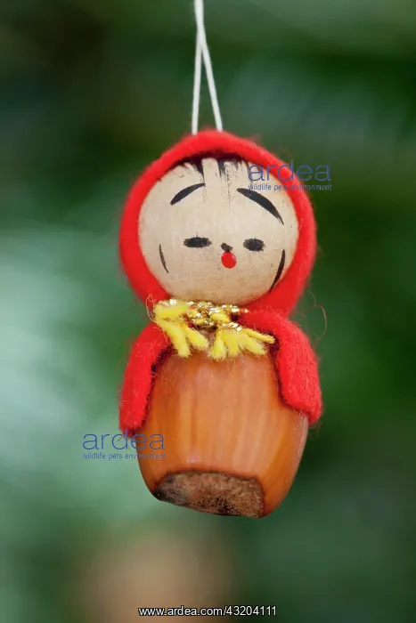 : Christmas tree ornament, elf made from a hazelnut : Christmas tree ornament, elf made from a hazelnut