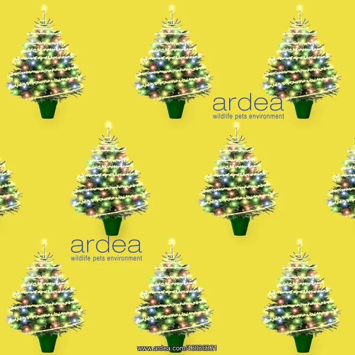 : Christmas tree pattern : Christmas tree pattern