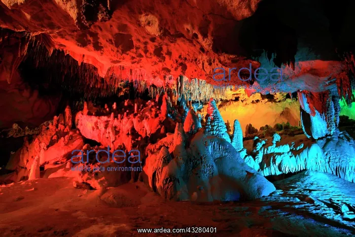 : The Christmas Tree Room of Florida Caverns State : The Christmas Tree Room of Florida Caverns State