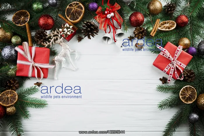 : christmas twig with deer and present boxes : christmas twig with deer and present boxes