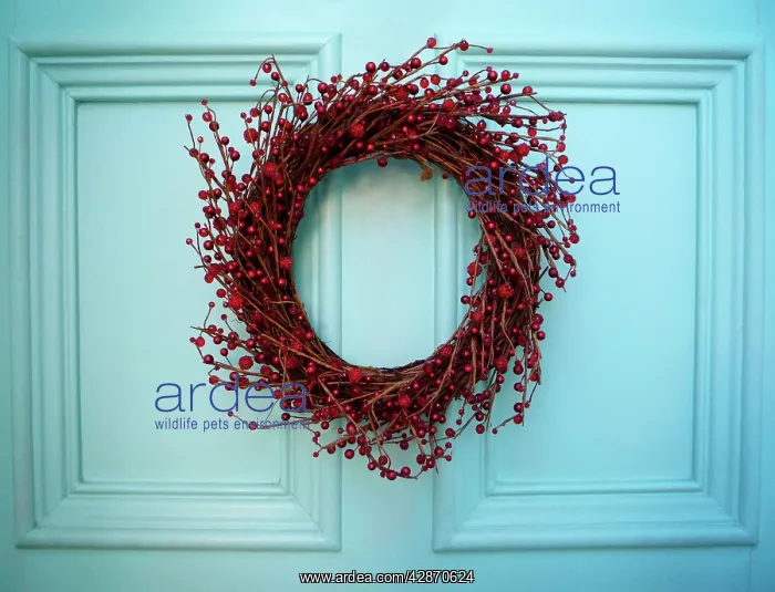  : Christmas Wreath