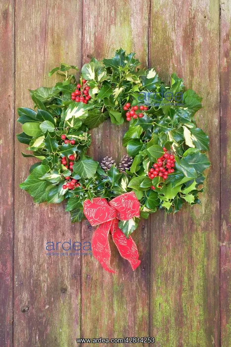 : Christmas Wreath on old wooden door : Christmas Wreath on old wooden door