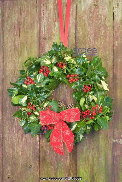  : Christmas Wreath on old wooden door
