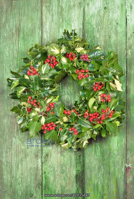 : Christmas Wreath on old wooden door : Christmas Wreath on old wooden door