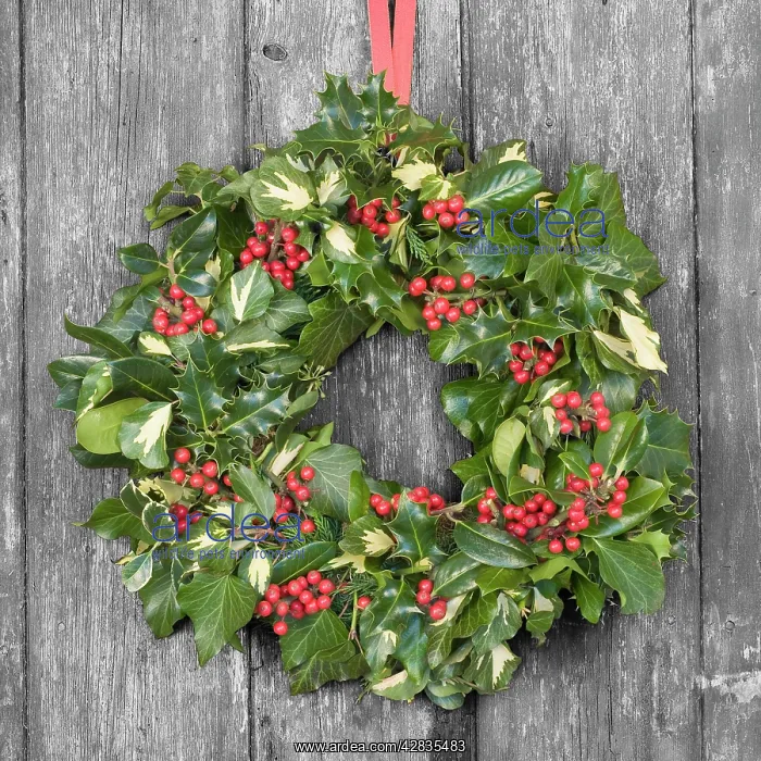 : Christmas Wreath on old wooden door : Christmas Wreath on old wooden door