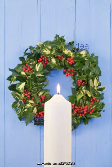  : Christmas Wreath on old wooden door with white candle