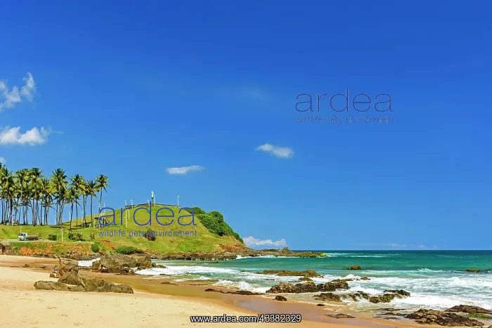 : Christs hill urrounded by the beach, sea and the : Christs hill urrounded by the beach, sea and the