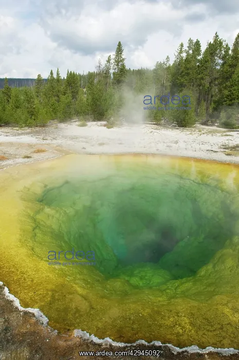 : Chromatic Pool - Old Faithful area : Chromatic Pool - Old Faithful area