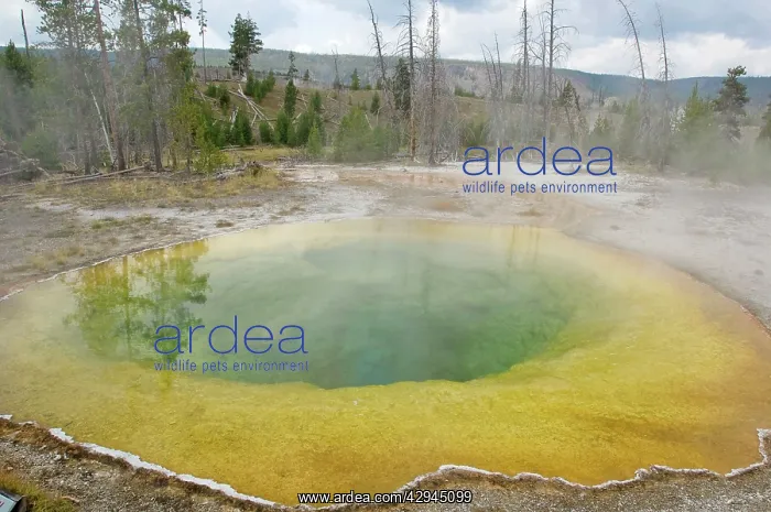 : Chromatic Pool - Old Faithful area : Chromatic Pool - Old Faithful area