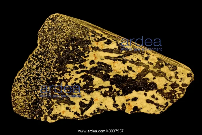 : Chromite bearing plagioclase (Anothosite) : Chromite bearing plagioclase (Anothosite)