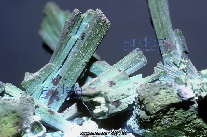 : Chrysocolla : Chrysocolla