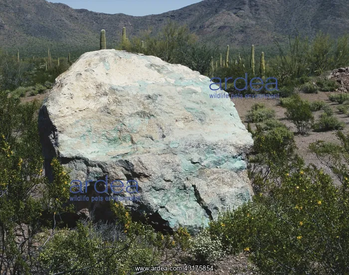 : Chrysocolla Deposit : Chrysocolla Deposit