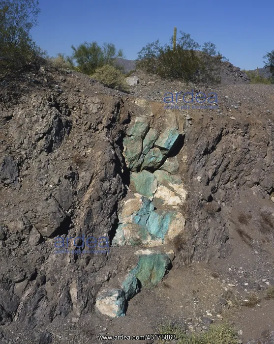 : Chrysocolla Deposit : Chrysocolla Deposit