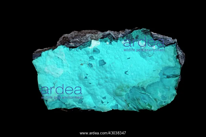 : Chrysocolla hydrated copper cyclosilicate mineral : Chrysocolla hydrated copper cyclosilicate mineral