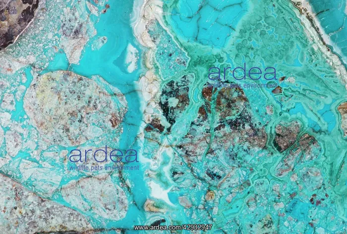 : CHRYSOCOLLA and MALACHITE : CHRYSOCOLLA and MALACHITE