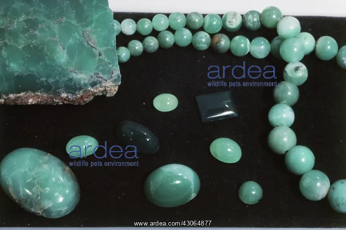: Chrysoprase : Chrysoprase