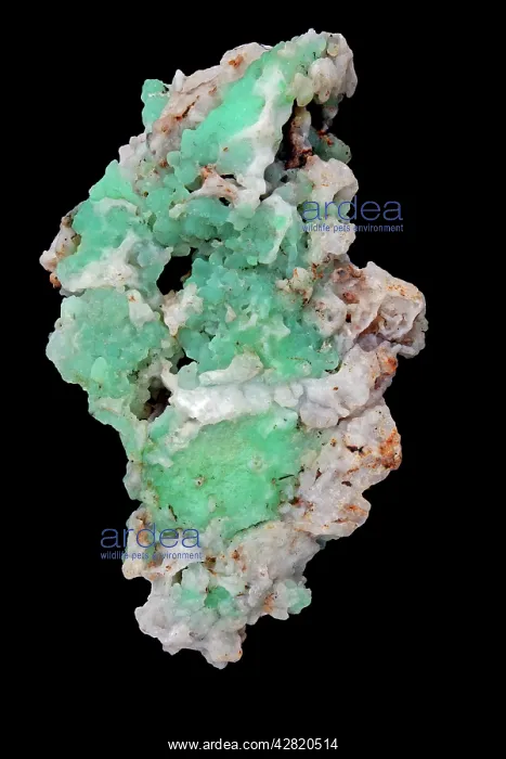 : Chrysoprase - a form of quartz - SiO2 : Chrysoprase - a form of quartz - SiO2