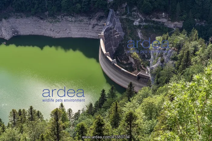 : Chtelot des Doubs dam Lac des Moron reservoir between : Chtelot des Doubs dam Lac des Moron reservoir between