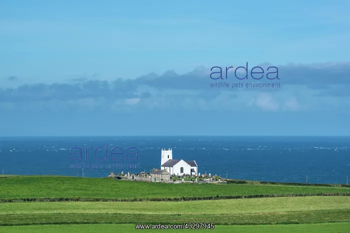 : Church on the Atlantic Coast, Ballintoy, County : Church on the Atlantic Coast, Ballintoy, County