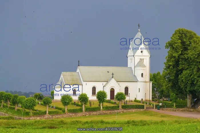 : Church Baldringe : Church Baldringe