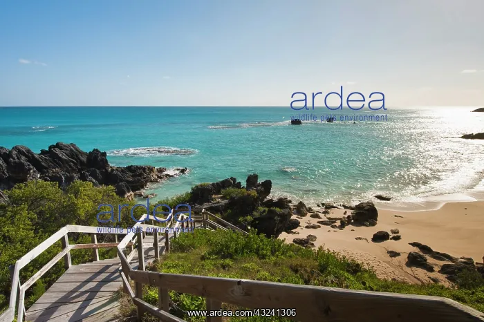 : Church Bay Park Beach, Bermuda : Church Bay Park Beach, Bermuda