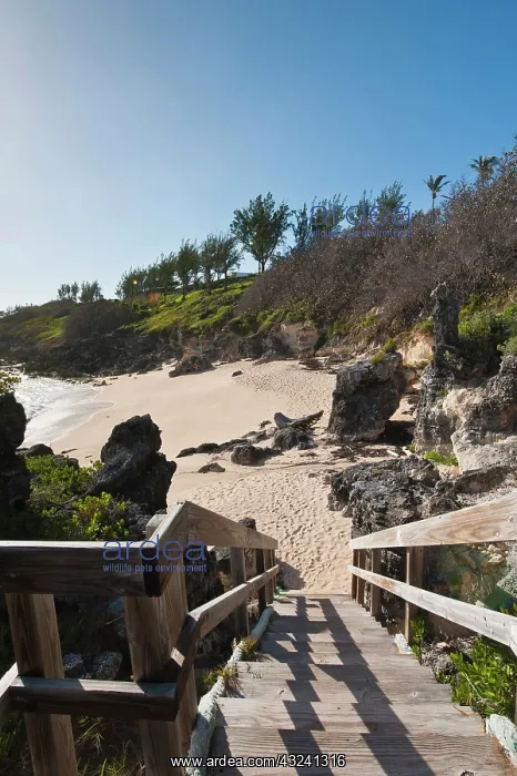 : Church Bay Park Beach, Bermuda : Church Bay Park Beach, Bermuda