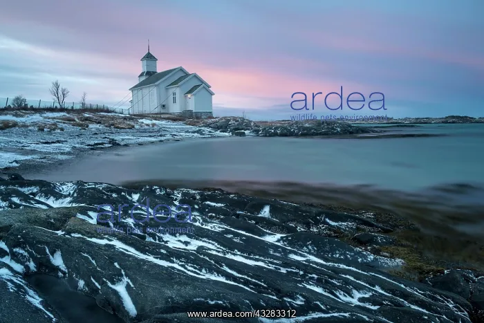 : Church on the coast at dusk, Gimsoy, Lofoten, Norway : Church on the coast at dusk, Gimsoy, Lofoten, Norway