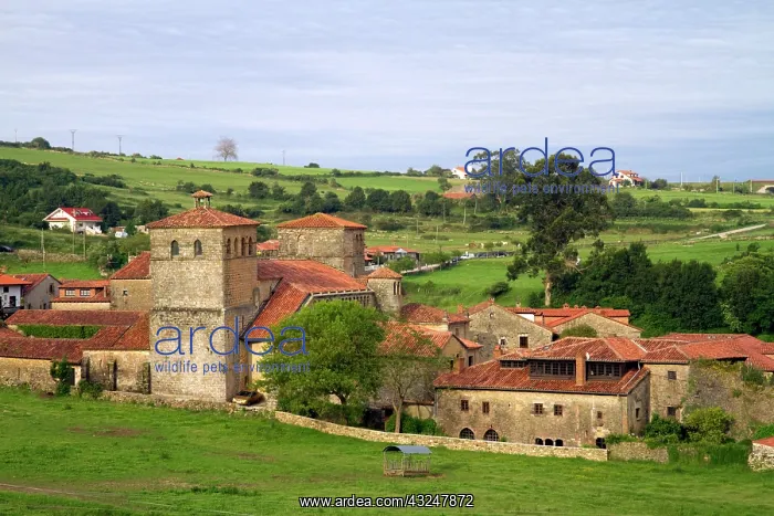 : Church of the Colegiata at Santillana del : Church of the Colegiata at Santillana del