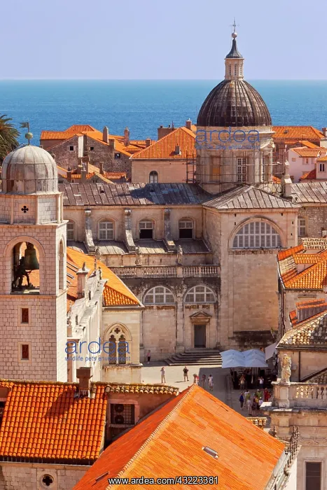 : Church domes and colorful tiled roofs of : Church domes and colorful tiled roofs of