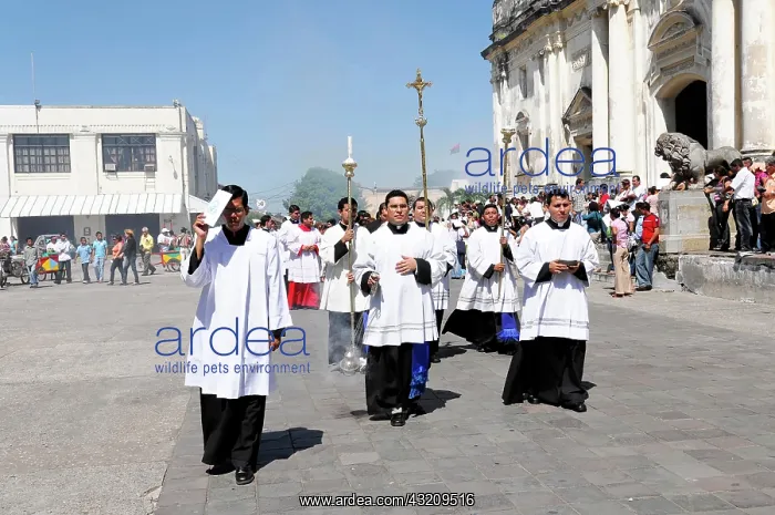 : Church festival with procession, Catedral de la : Church festival with procession, Catedral de la